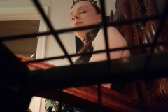 cage-view-